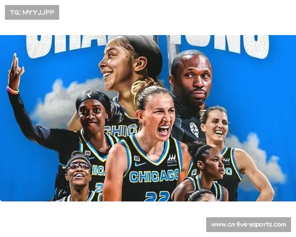 WNBA球队赞助数量与社媒粉丝量呈正相关，狂热队赞助商数量领跑联盟